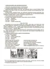 Фото Українська мова. 8 клас. І семестр (до двох основних модельних навчальних програм).  Мій конспект. Матеріали до уроків. УМР012 7