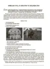 Фото Українська література. 8 клас (до програми Т. О. Яценко, В. І. Пахаренко, О. А. Слижук, І. А. Тригуб). Мій конспект. Матеріали до уроків. УМР011 6