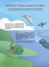Фото Як це влаштовано: Військо України. ЗНТ010 8