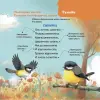 Фото Віршенята-гралочки. Забавлянки, утішки, руханки, лічилки для малят. 0–3 роки МТБ002 7