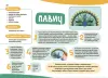 Фото Мої перші малюнки. Альбом для дітей. 3-4 роки КРС002 9