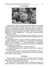 Фото Тематичні дні у 3 класі. НУР037 7