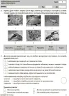 Фото Усі діагностичні роботи. 2 клас. КЗП004 7