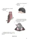 Фото Електронна книга. Дивовижні перетворення. Ким працюють рослини ЗНТ001 5