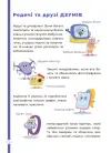 Фото Математика з родиною ДЗУМІВ. 5-6 років ДЗМ001 5