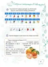 Фото Новорічні традиції. 3 клас. ЗМК007 5