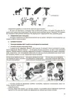 Фото Інформатика. 4 клас (за підручником Н. В. Морзе, О. В. Барної). ПШМ280 6